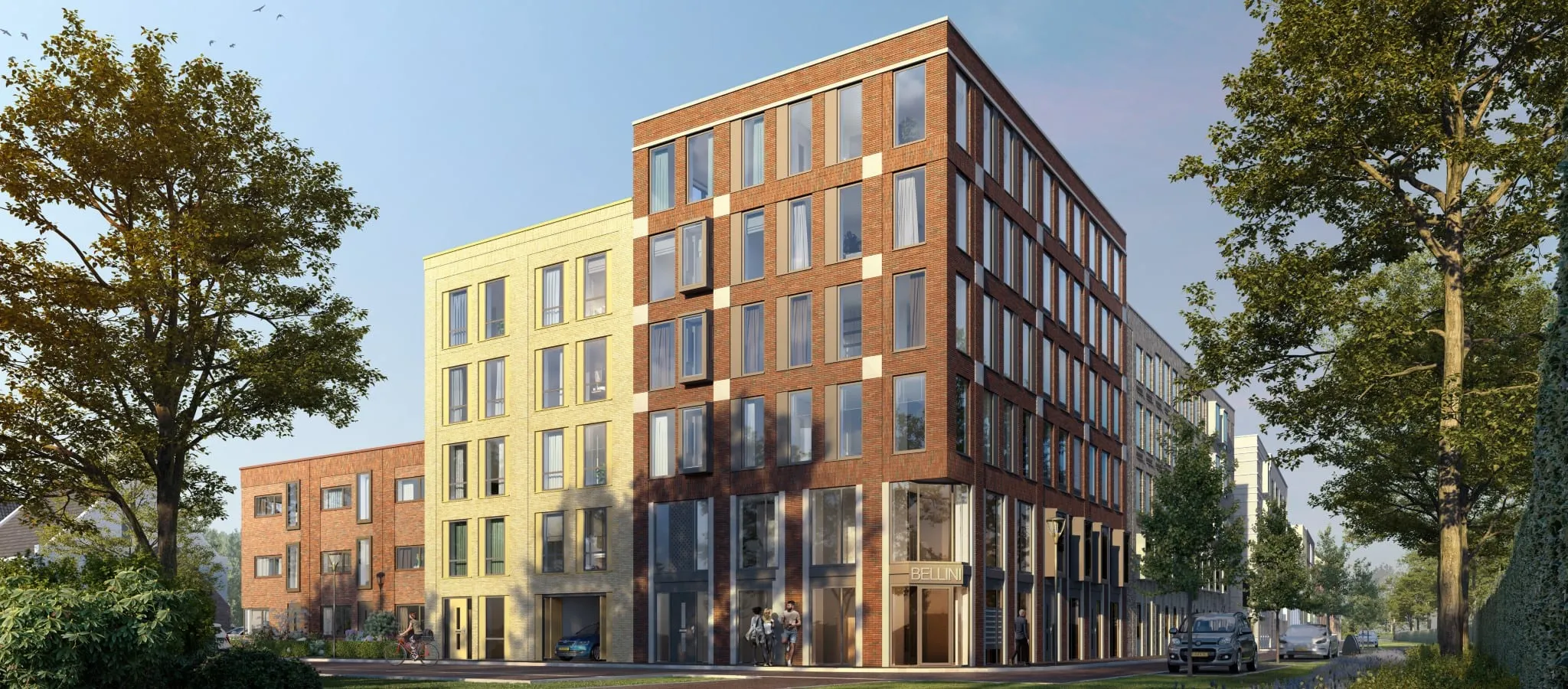 Bellini in Haarlem